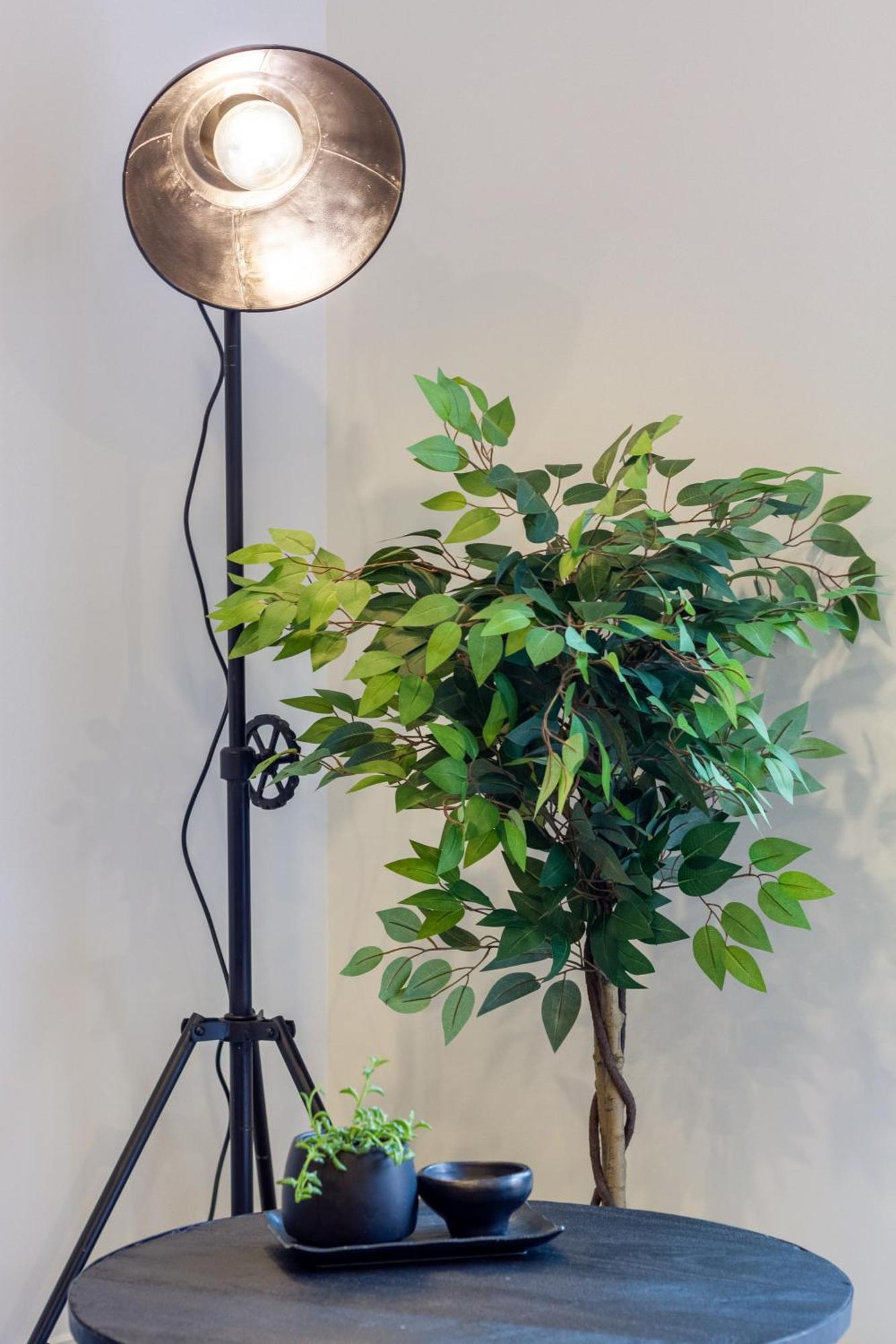 Merivale Gem: 2Br Townhouse Oasis Christchurch Extérieur photo